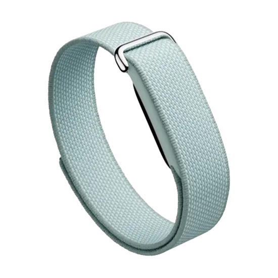 Watch Google Fitbit Air - Fog