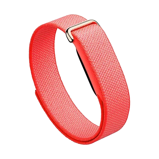 Watch Google Fitbit Air - Berry